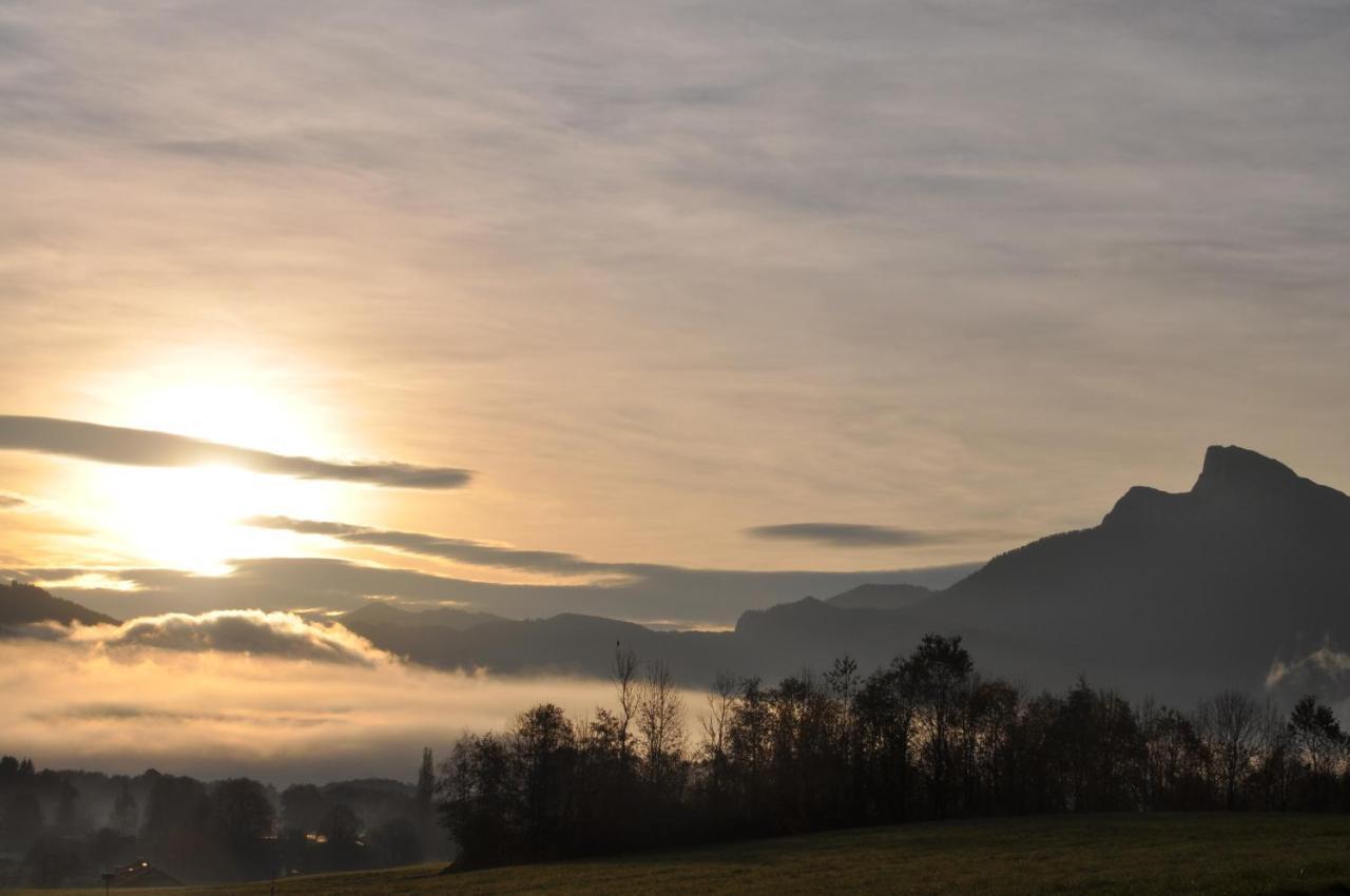 Alpenseepark Appartement