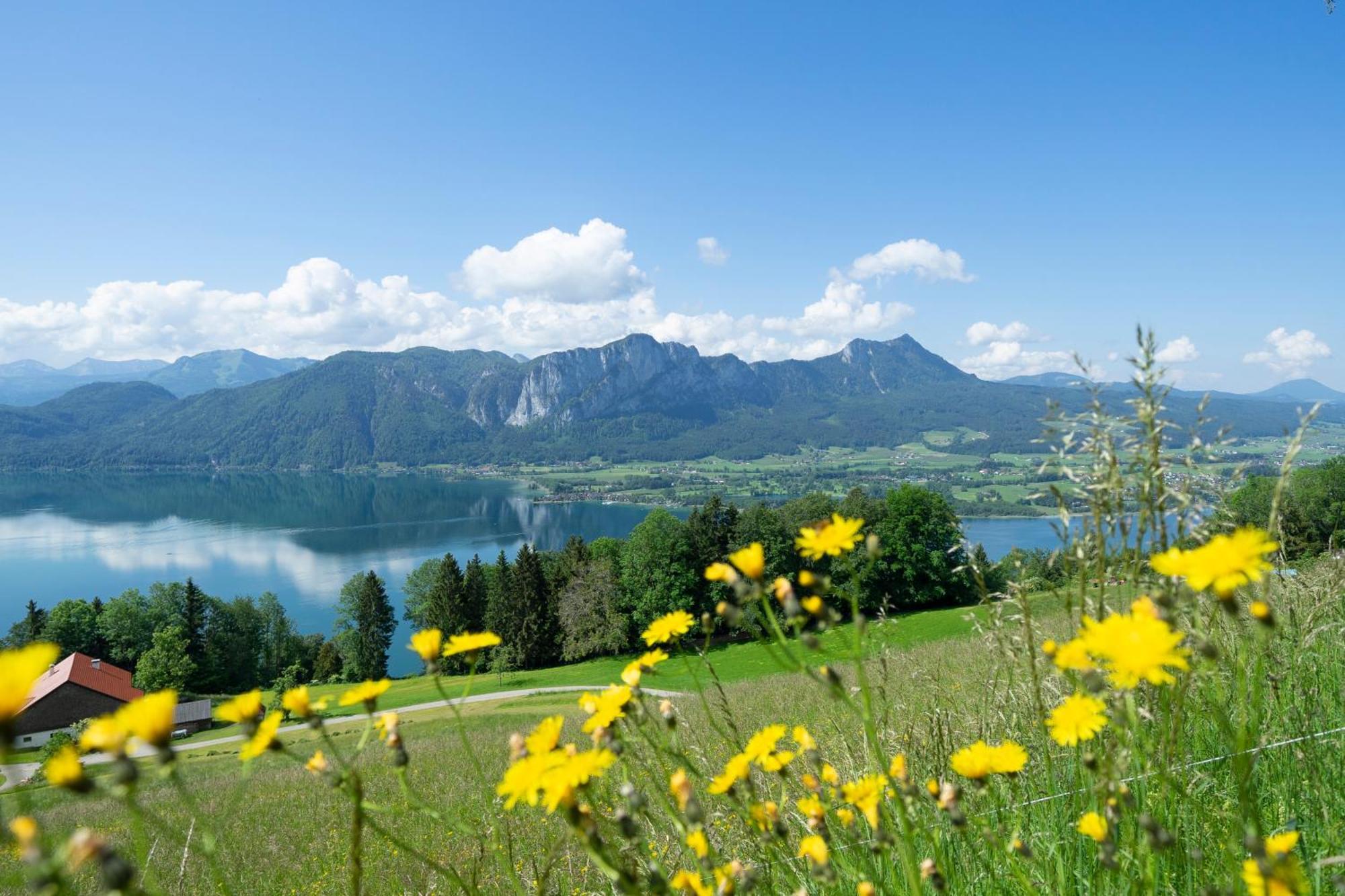 Alpenseepark *